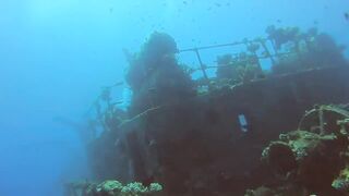 Haql, Saudi Arabia: дайвинг и рыбалка рядом с рифом