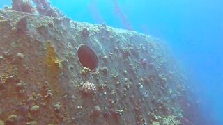 Haql, Saudi Arabia: дайвинг и рыбалка рядом с рифом