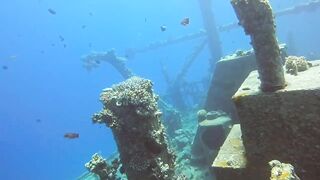 Haql, Saudi Arabia: дайвинг и рыбалка рядом с рифом