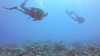 Haql, Saudi Arabia: дайвинг и рыбалка рядом с рифом