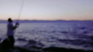 Haql, Tabuk - fishing time: морская рыбалка в Хакле