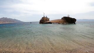 Haql, Saudi Arabia - рыбалка у берега и визит к шипреку