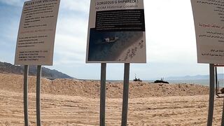 Haql, Saudi Arabia - рыбалка у берега и визит к шипреку