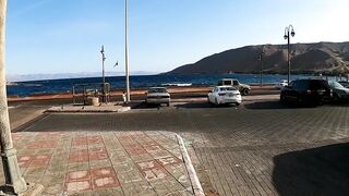 Haql, Saudi Arabia - рыбалка у берега и визит к шипреку