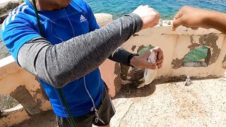 Haql, Saudi Arabia - рыбалка у берега и визит к шипреку