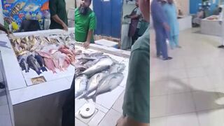 Duba Fish Market: что купить после утренней рыбалки в Красном море