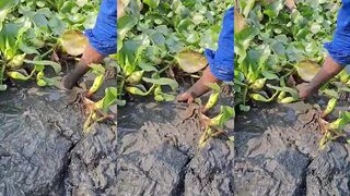 Amazing fishing in Duba — деревня, рынок, морская рыбалка на рассвете