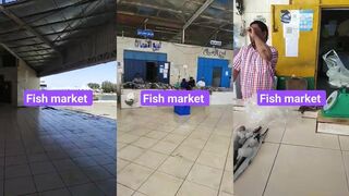 Duba Fish Market, KSA - свежий улов после морской рыбалки