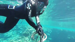 Duba, Tabuk — подводная охота и морская рыбалка на корнише