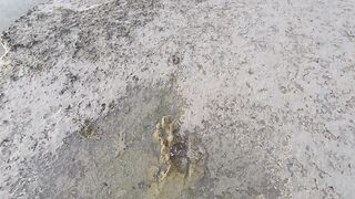 Duba, Tabuk — подводная охота и морская рыбалка на корнише