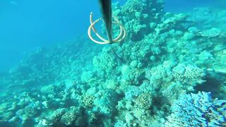 Duba, Tabuk — подводная охота и морская рыбалка на корнише