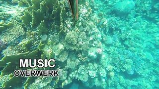 Duba, Tabuk — подводная охота и морская рыбалка на корнише