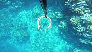 Duba, Tabuk — подводная охота и морская рыбалка на корнише