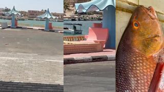 Duba Fish Market — уловы дня: чем живёт рыбацкий городок