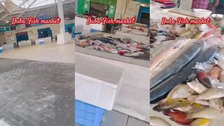 Duba: первый визит на рыбный рынок — что берут рыбаки после выхода в море