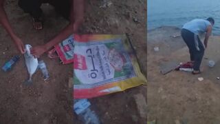 Al Wajh, OFW fishing - вечерняя рыбалка с набережной