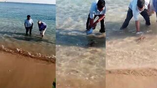 Al Wajh, Tabuk: lionfish у берега и правила безопасности для рыбалки