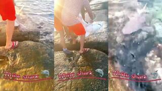 Al Wajh - поймал и отпустил акулу: правила и безопасность