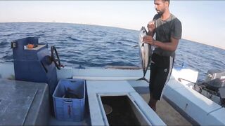 Al Wajh, Saudi Arabia: рыбалка и прогулка по местам у Красного моря