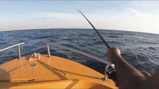 Al Wajh, Saudi Arabia: рыбалка и прогулка по местам у Красного моря