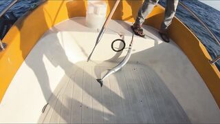 Al Wajh, Saudi Arabia: рыбалка и прогулка по местам у Красного моря