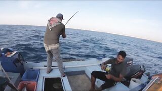 Al Wajh, Saudi Arabia: рыбалка и прогулка по местам у Красного моря