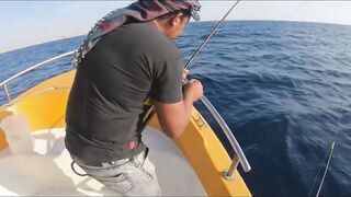 Al Wajh, Saudi Arabia: рыбалка и прогулка по местам у Красного моря