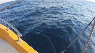 Al Wajh, Saudi Arabia: рыбалка и прогулка по местам у Красного моря