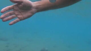 Al Wajh - подводные обитатели, где проходит морская рыбалка