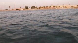 Al Wajh - подводные обитатели, где проходит морская рыбалка