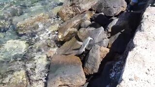 Umluj, KSA: рыбалка на праздники, пляжи и белый песок