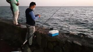 Umluj, KSA: рыбалка на праздники, пляжи и белый песок