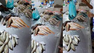 Yanbu fish market — что говорят уловы о клёве в порту сегодня?