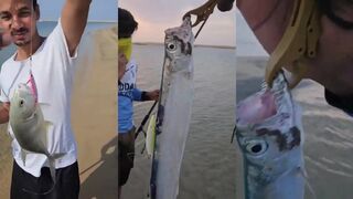 Yanbu fishing — между Джиддой и Трай-Вэлли: где лучше клюёт?