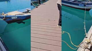 Yanbu — маринлайф у волнореза: где безопасно совмещать снасти и нырялку?