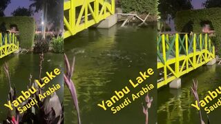 Yanbu Lake - fishing time: есть ли клев в пресной лагуне?