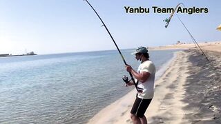 Yanbu — trevally у волнореза: снасти и проводка