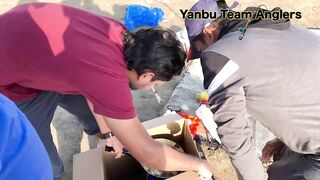 Yanbu — trevally у волнореза: снасти и проводка