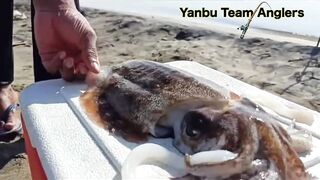 Yanbu — trevally у волнореза: снасти и проводка