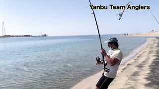 Yanbu — trevally у волнореза: снасти и проводка