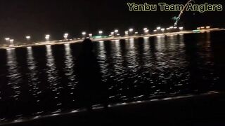 Yanbu — trevally у волнореза: снасти и проводка