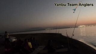Yanbu — trevally у волнореза: снасти и проводка