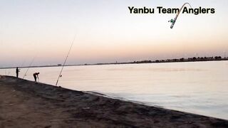Yanbu — trevally у волнореза: снасти и проводка