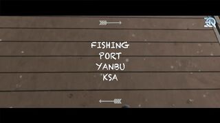 Yanbu Fishing Port — уловы с пирса и рынок по утрам