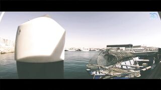 Yanbu Fishing Port — уловы с пирса и рынок по утрам