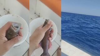 Yanbu, Saudi Arabia — пляж и мол: морская рыбалка на лёгкие снасти