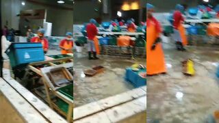 Yanbu Fish Market - где чистят улов и что взять после рыбалки