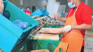 Yanbu, Saudi Arabia - корниш и рыбалка у волнолома