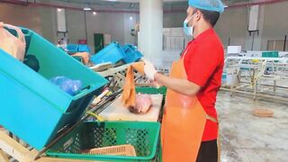 Yanbu, Saudi Arabia - корниш и рыбалка у волнолома