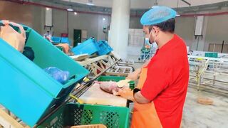 Yanbu, Saudi Arabia - корниш и рыбалка у волнолома